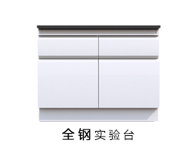全鋼制結(jié)構(gòu)實(shí)驗(yàn)桌