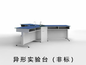 異形實(shí)驗(yàn)臺(tái)（非標(biāo)）